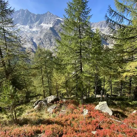 Apartment Bettina Wellness Appartement-fewo Bettina 8 By Interhome Saas-Fee